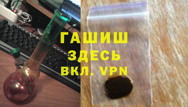 гидра Бородино