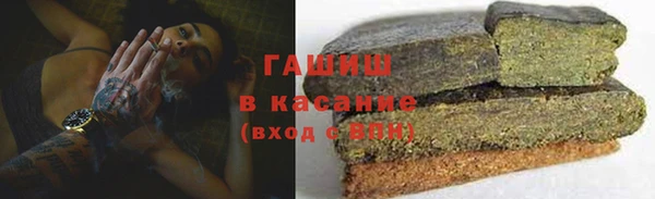 гидра Бородино