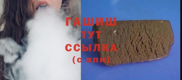 гидра Бородино