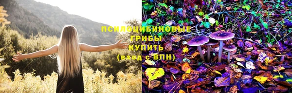 MDMA Premium VHQ Бронницы