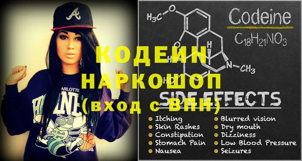 гидра Бородино