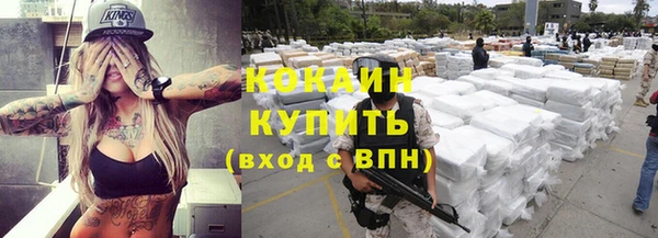 гидра Бородино