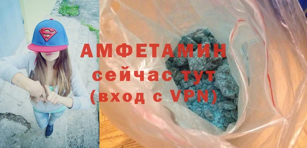 гидра Бородино