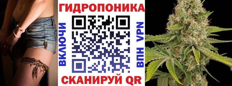 где купить   Кувандык  Канабис White Widow 